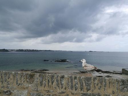 St Malo coast